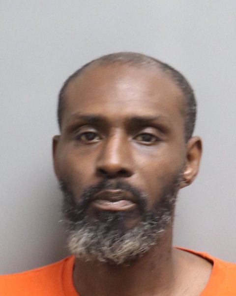 Mugshot of BRIAN LEMONT HAYNES