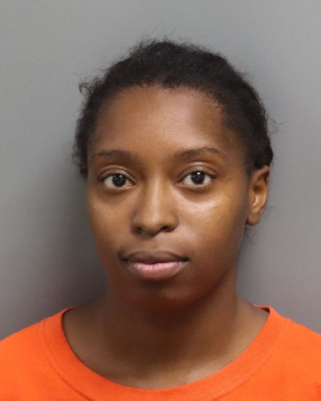 Mugshot of ERICA ELAINE HILLS