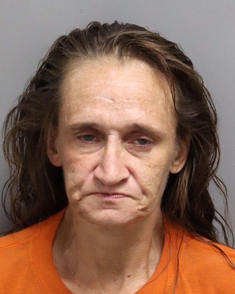 Mugshot of CRYSTAL NICOLE DAVENPORT