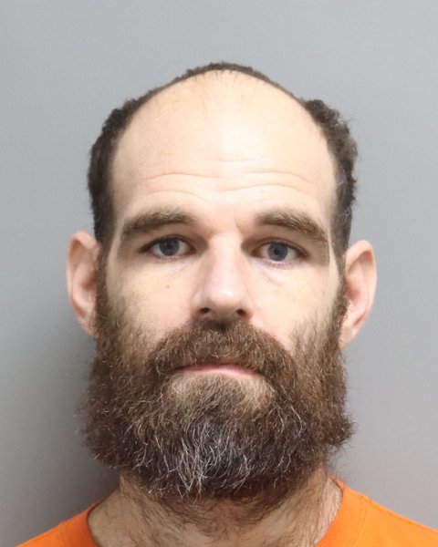 Mugshot of WILLIAM JAMES YOUMANS