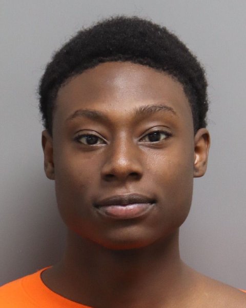 Mugshot of KRISTOFER KELLE MCDONALD