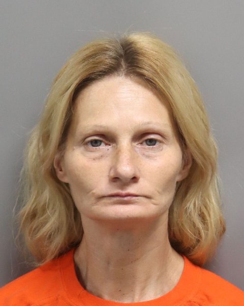 Mugshot of SHANNON RENA HARTLEY