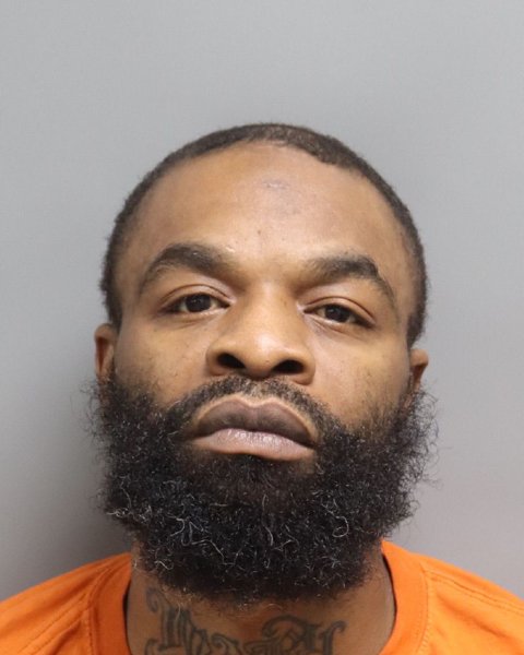 Mugshot of DEDRICK THAAO STEVENS