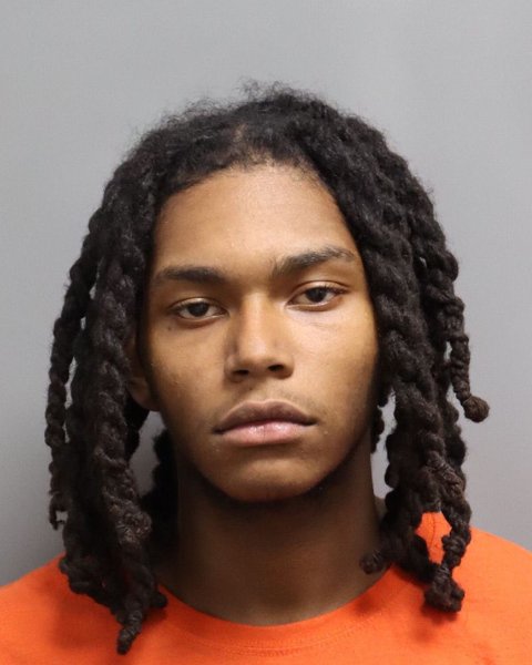 Mugshot of TERENCE MICHEAL WEBB