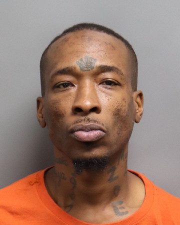 Mugshot of LEVI SINGLETON
