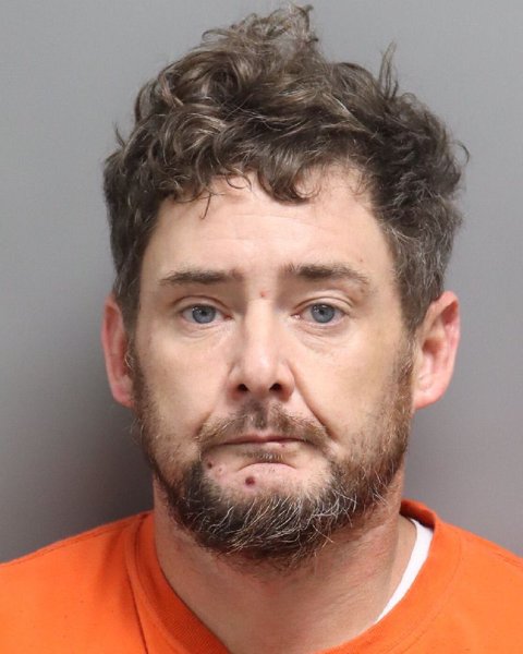 Mugshot of BRIAN ADAM STEVENSON