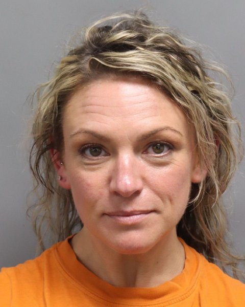 Mugshot of STEFANIE MANSEAU-DWYER