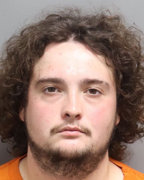 Mugshot of WILLIAM CAMERON DORTON