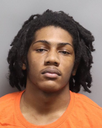 Mugshot of TRE'ON-LUWAYNE ANTONIE DAVIS