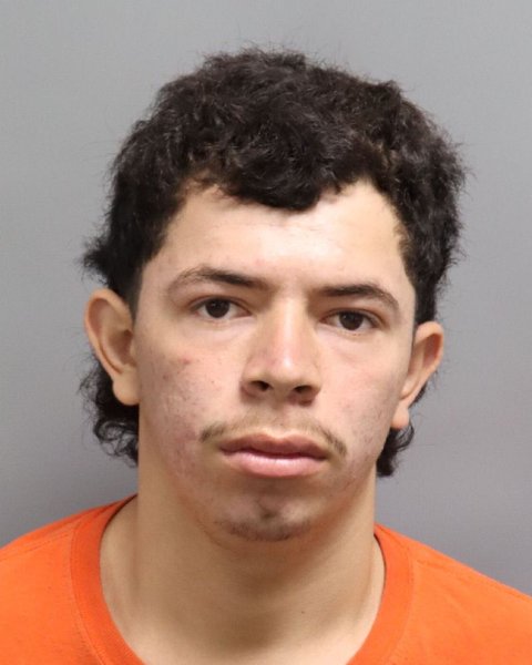 Mugshot of DENIS O RIVERA MATUTE