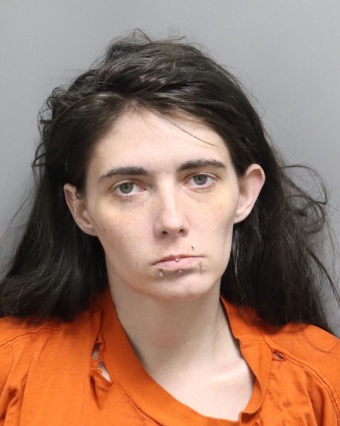 Mugshot of GABRIELLE CATHERINE BOURGEOIS