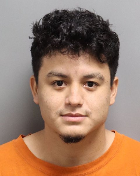Mugshot of LUIS MORALES-MAYORGA