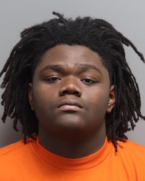 Mugshot of RYDELL LEMAR HOLMES