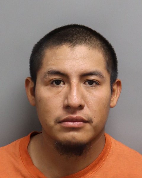Mugshot of DANY CHEC COC