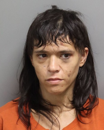 Mugshot of JESSICA VIOLA GARCIA