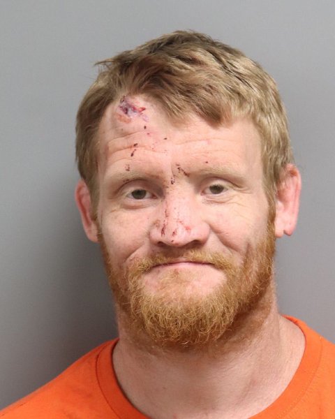 Mugshot of THOMAS WILLIAM WEAVER