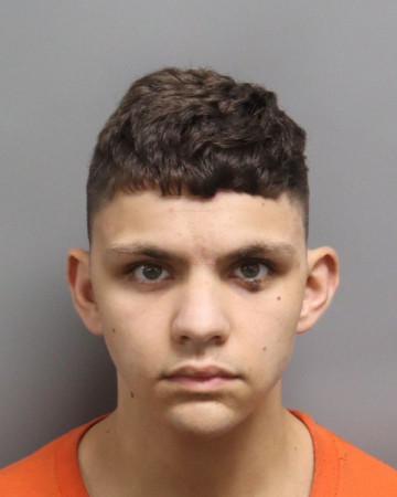 Mugshot of MATTHEW JAMES RITZ
