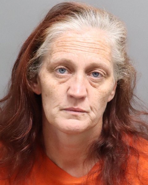 Mugshot of SUMMER SHAWNTEL OWANS