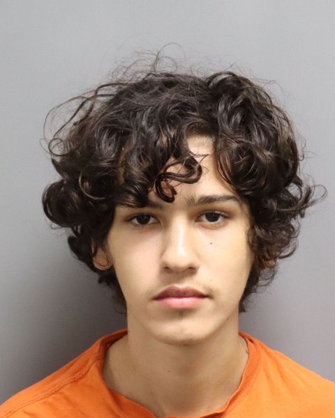Mugshot of MATHEUS FERREIRA DE MACEDO BORGES