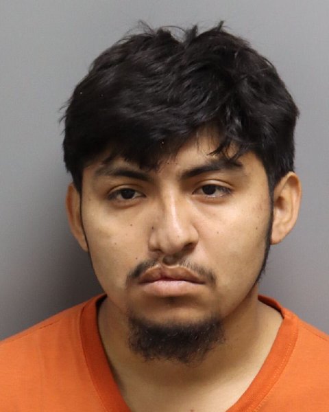 Mugshot of LUIS ALFONSO TERRON-MATEOS