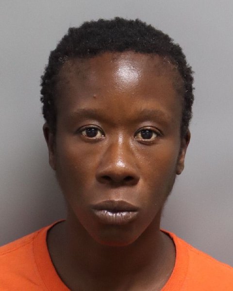 Mugshot of TAWATHA DENISE MCMILLIAN