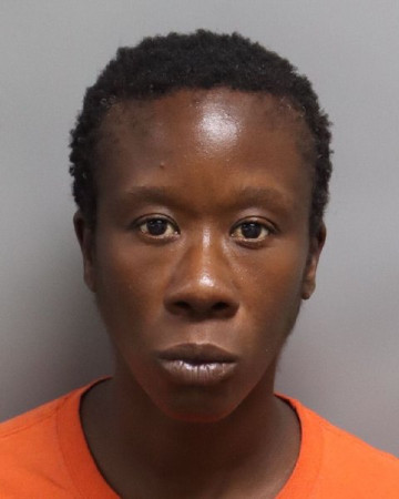 Mugshot of TAWATHA DENISE MCMILLIAN