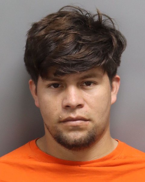 Mugshot of MANUEL DE JESUS DIAZ-MENA