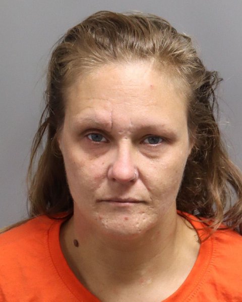 Mugshot of BRANDI LYNNE MIHILL