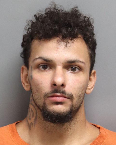 Mugshot of BRYAN LEE ROGULSKY