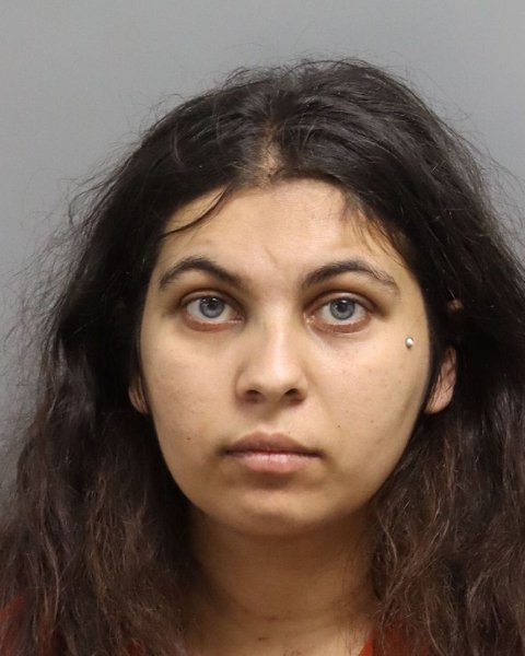 Mugshot of NICOLE ASHLEY ADAMS