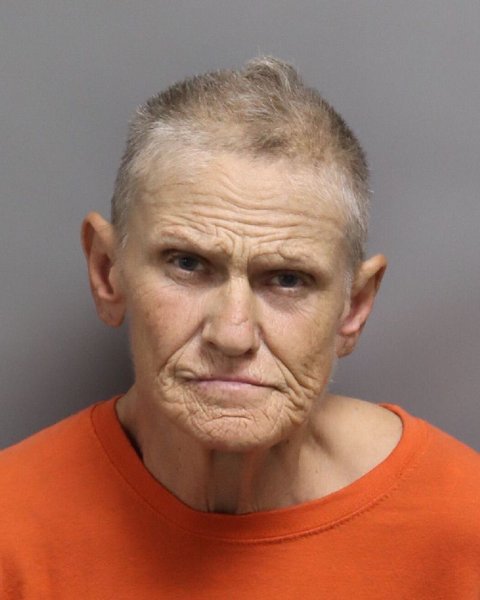 Mugshot of ELIZABETH ANN GOINS