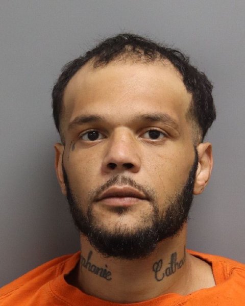 Mugshot of BRYAN MICHAEL HOWELL