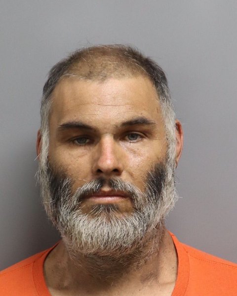 Mugshot of TERRY LEE WELLS