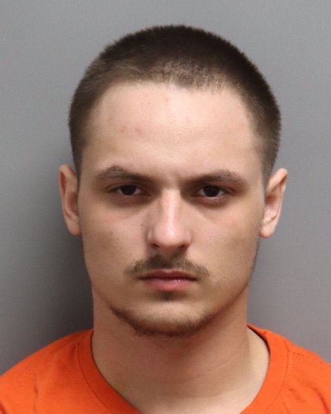 Mugshot of LANDON COLE RYALS