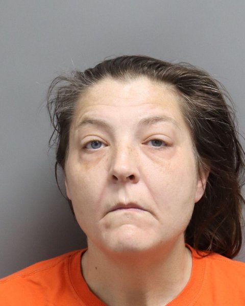 Mugshot of KIMBERLY NICOLE MCDOWELL