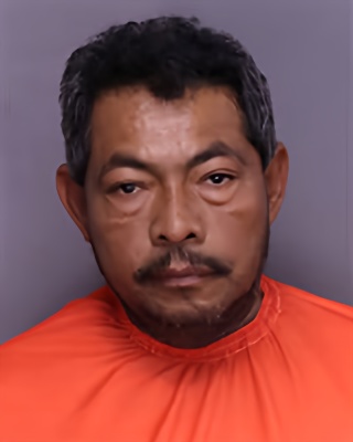Mugshot of ADONIS ARNOLDO ALVARADO