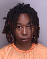 Mugshot of ALAYA AMONTY FLEMING