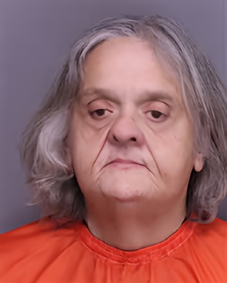 Mugshot of CHRISTEEN ANN HOPKINS