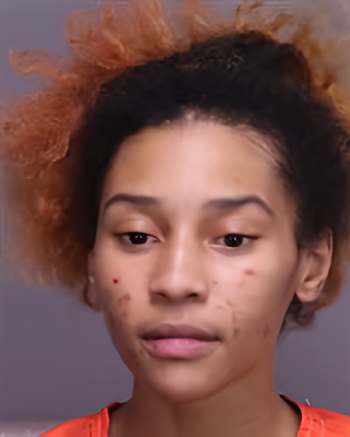 Mugshot of TANDREA JAKAYLA HOLMES