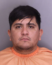 Mugshot of PEDRO JAVID BELTRON-DEL RIO