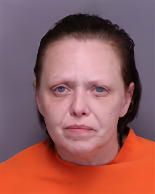 Mugshot of JILL MICHELLE LEVAN