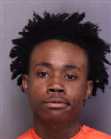 Mugshot of BRIAN MAURICE WILDS