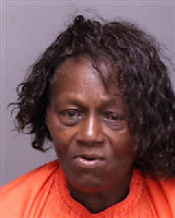 Mugshot of LISA JOHNSON BELLAMY