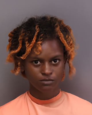 Mugshot of RENESHA DENEE TUMBLIN