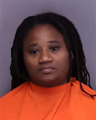 Mugshot of ROCHELLE LAVERNE AKINDIPE