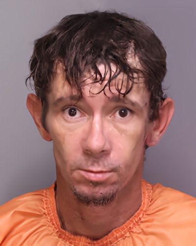 Mugshot of RICHARD BRADLEY FEAGIN