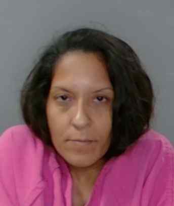 Mugshot of Frances Ivette Labrador