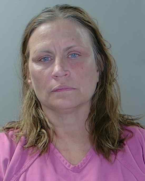 Mugshot of Mischelle Hudson