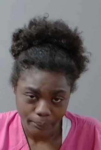 Mugshot of Sherry King