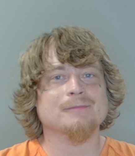 Mugshot of Nicholas Austin Goude